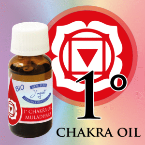 89301 1 Chakra Oil - Muladhara Oli (海底輪精油) 10ml
